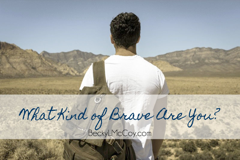 What Kind of Brave Are You? | BeckyLMcCoy.com