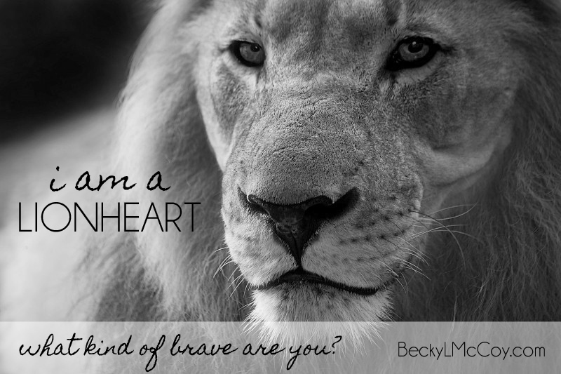 What Kind of Brave Are You? | BeckyLMcCoy.com
