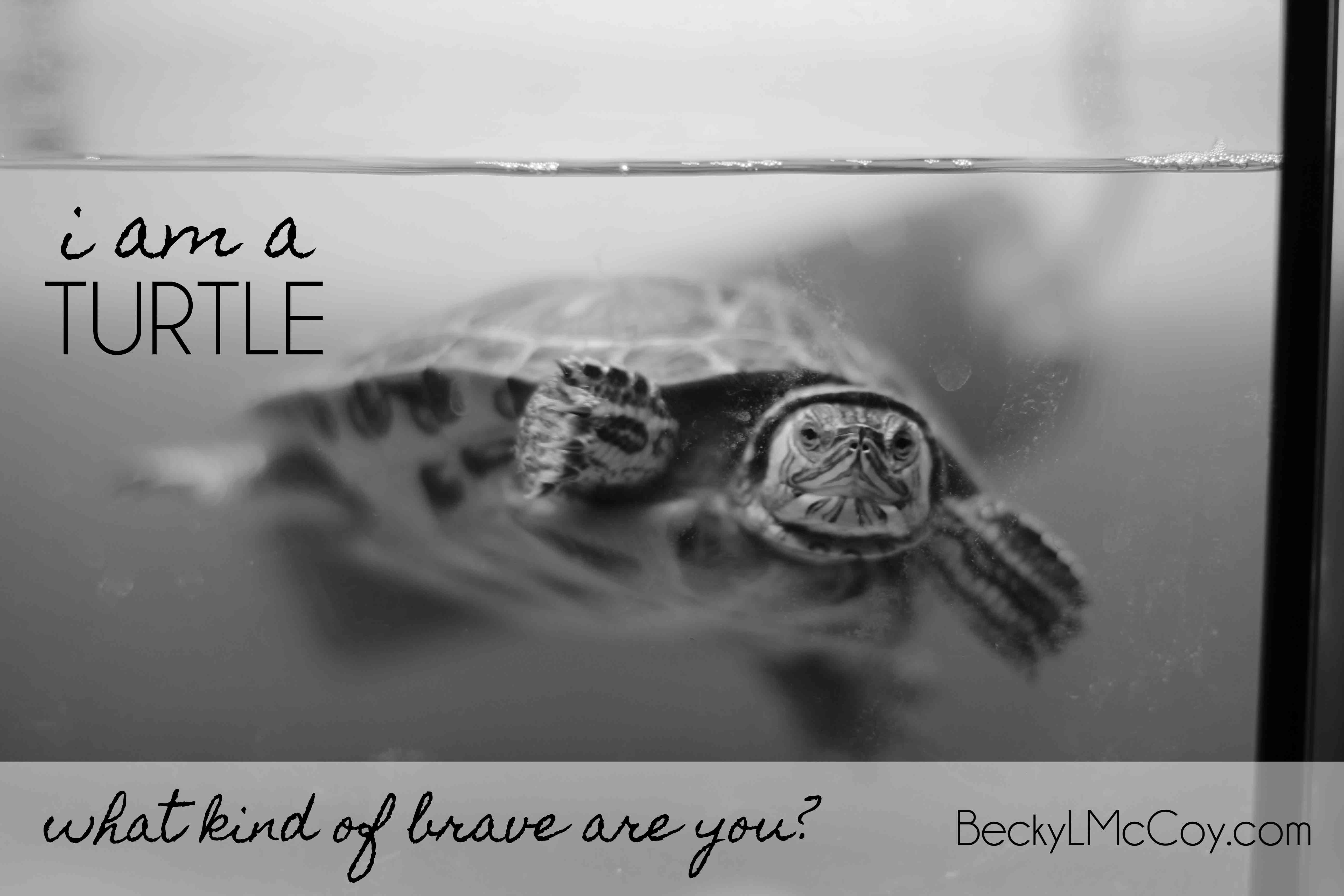 What Kind of Brave Are You? | BeckyLMcCoy.com